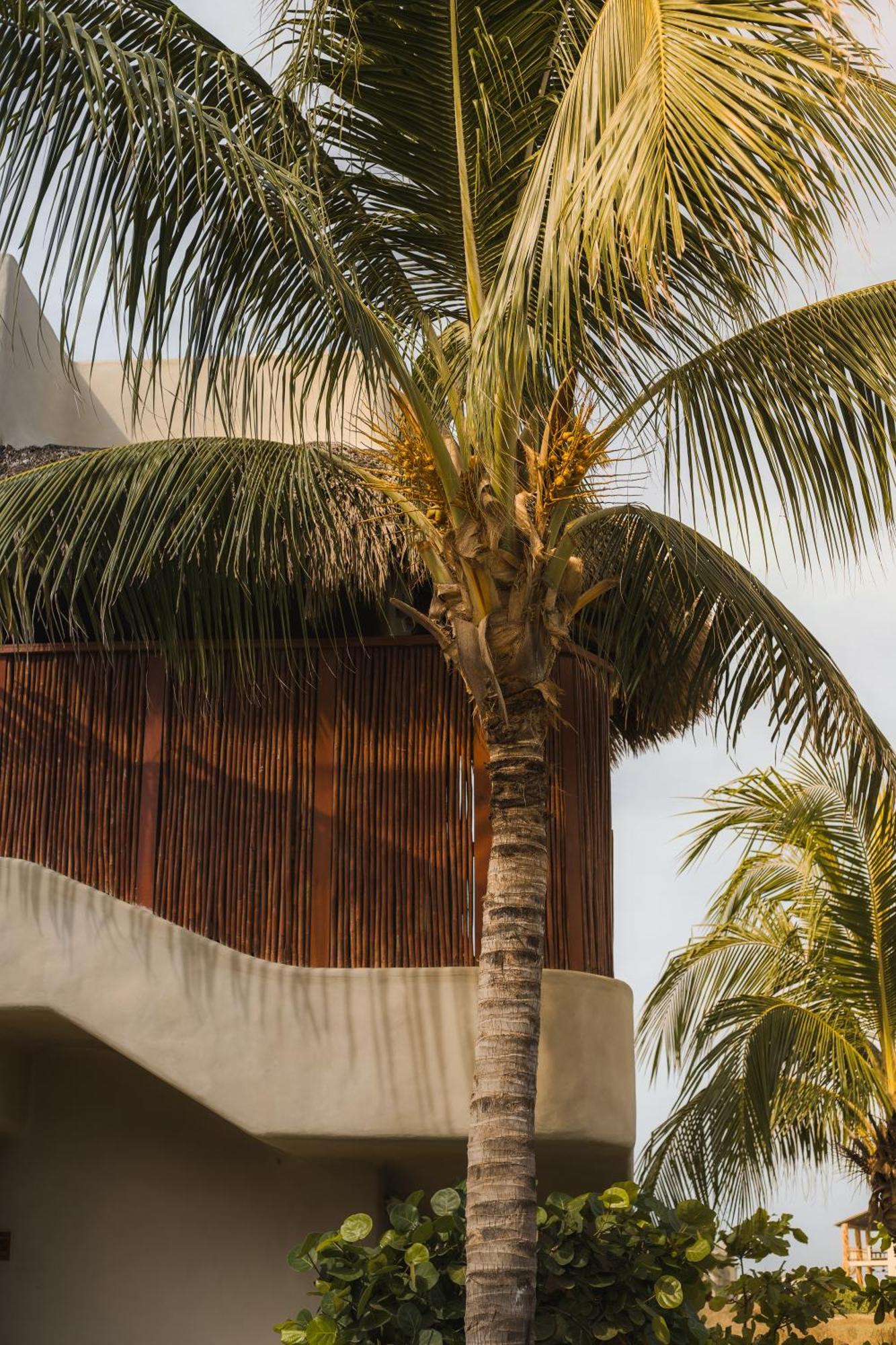 El Origen Villas & Spa-Puerto Escondido Puerto Escondido  Buitenkant foto
