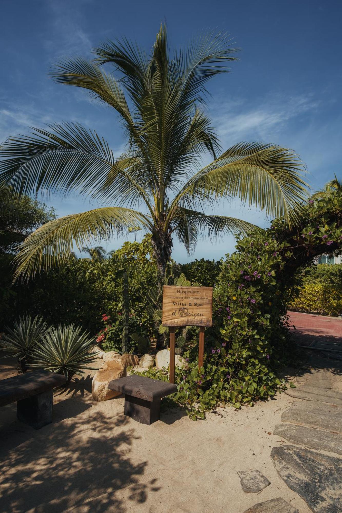 El Origen Villas & Spa-Puerto Escondido Puerto Escondido  Buitenkant foto